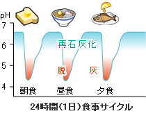 24時間（1日）食事サイクル